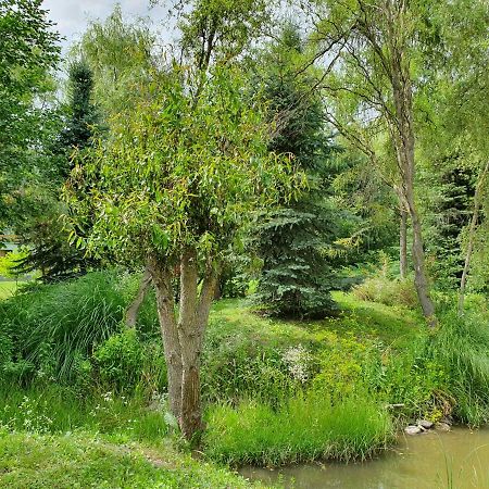 Vila Kamilla Kulcsoshaz Sub Cetate Exteriér fotografie