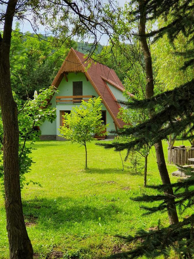Vila Kamilla Kulcsoshaz Sub Cetate Exteriér fotografie
