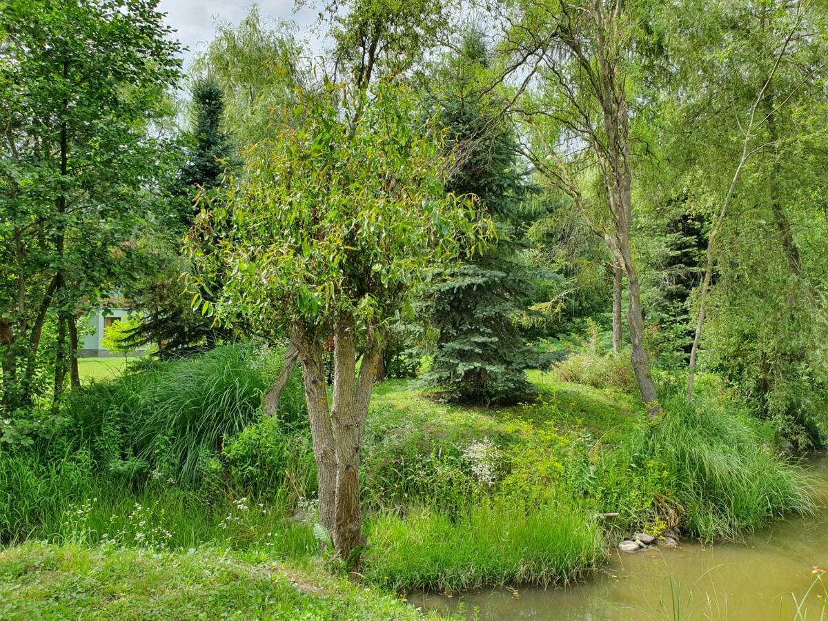 Vila Kamilla Kulcsoshaz Sub Cetate Exteriér fotografie