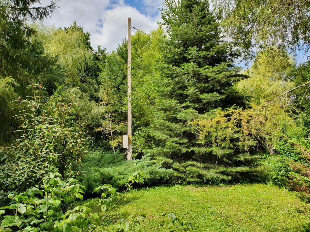 Vila Kamilla Kulcsoshaz Sub Cetate Exteriér fotografie