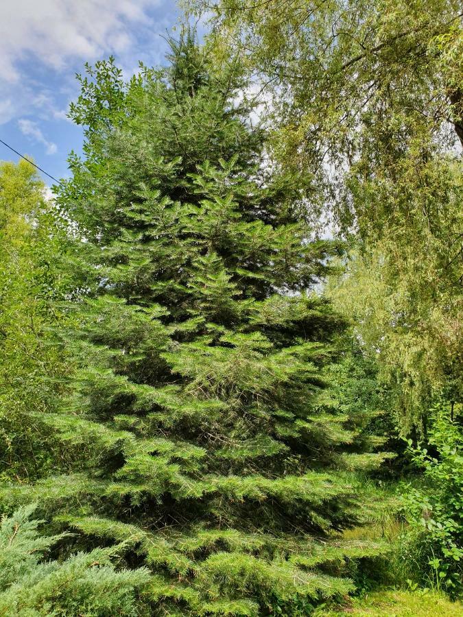 Vila Kamilla Kulcsoshaz Sub Cetate Exteriér fotografie